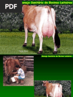 4-MANEJO SANITÁRIO VACAS LEITEIRAS def