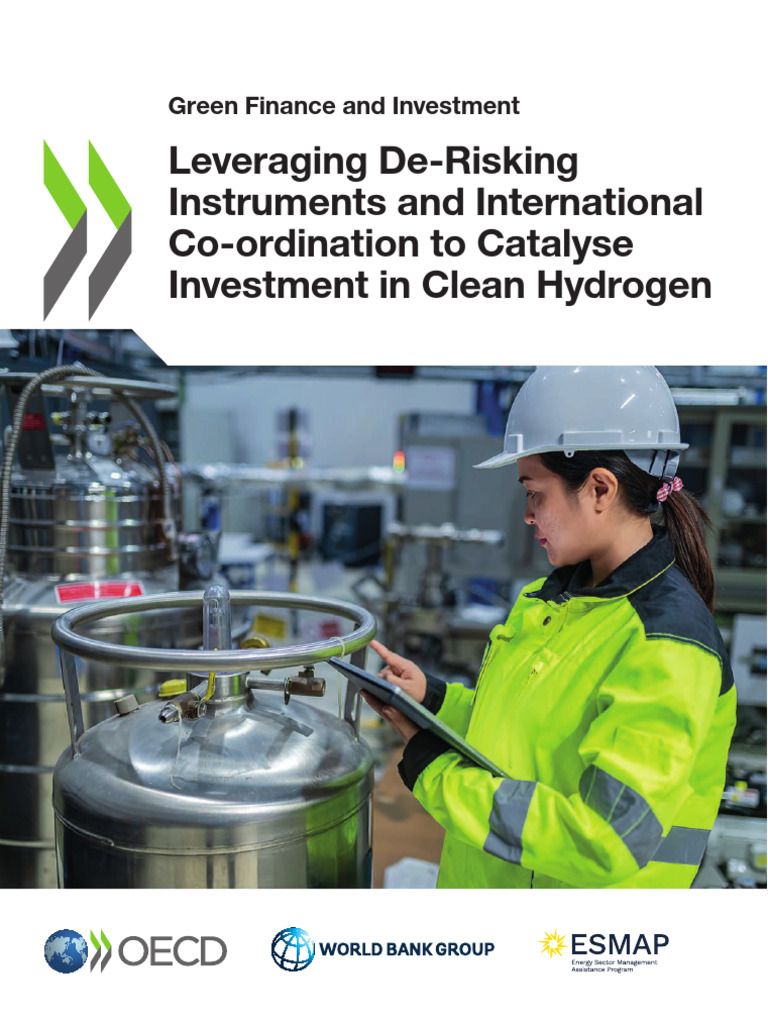 World Bank Financing Green Hydrogen Projects | PDF | Climate Change ...