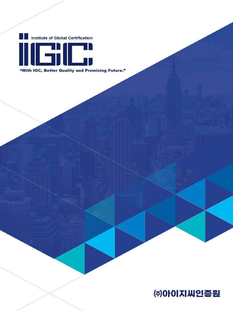 Igc Product 20000-1 Rev.1 | PDF