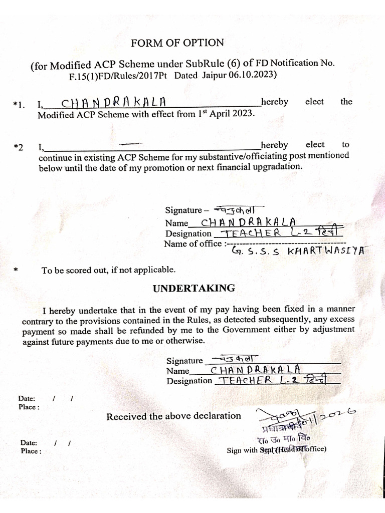 Option Form | PDF