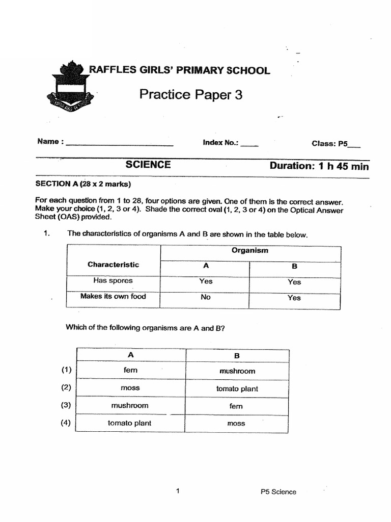 2024 P5 Science End of Year Exam Raffles Girls | PDF