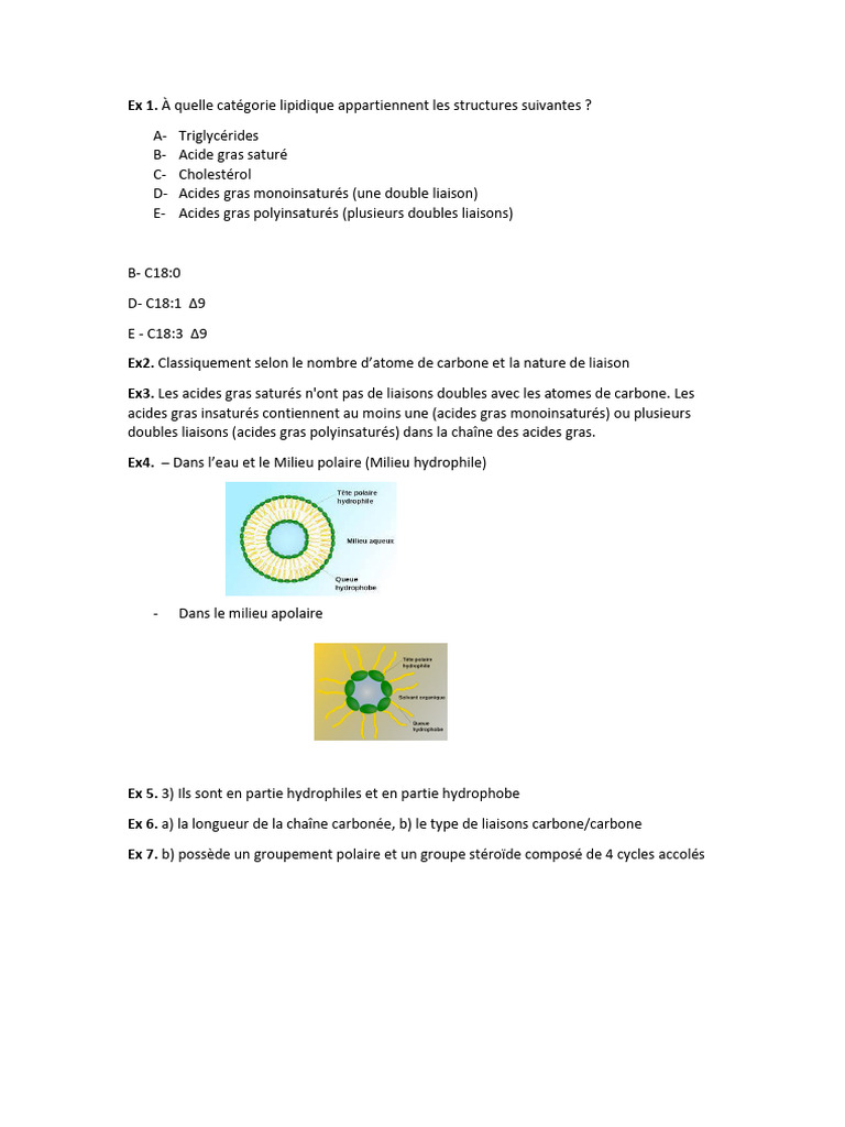 Solution Serie TD 3 - 230119 - 105005 | PDF
