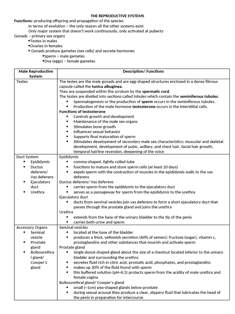 g10 topic-ReproductiveSystems | PDF | Uterus | Semen