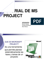 Ms Project