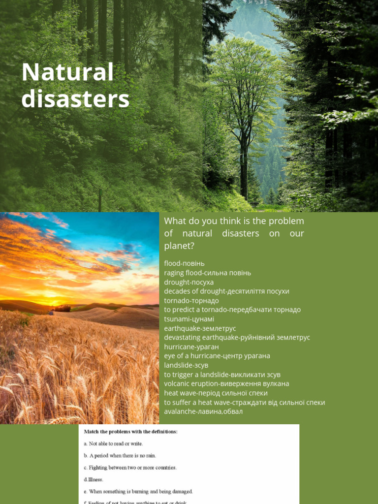 410802-2 | PDF | Natural Disasters | Earthquakes