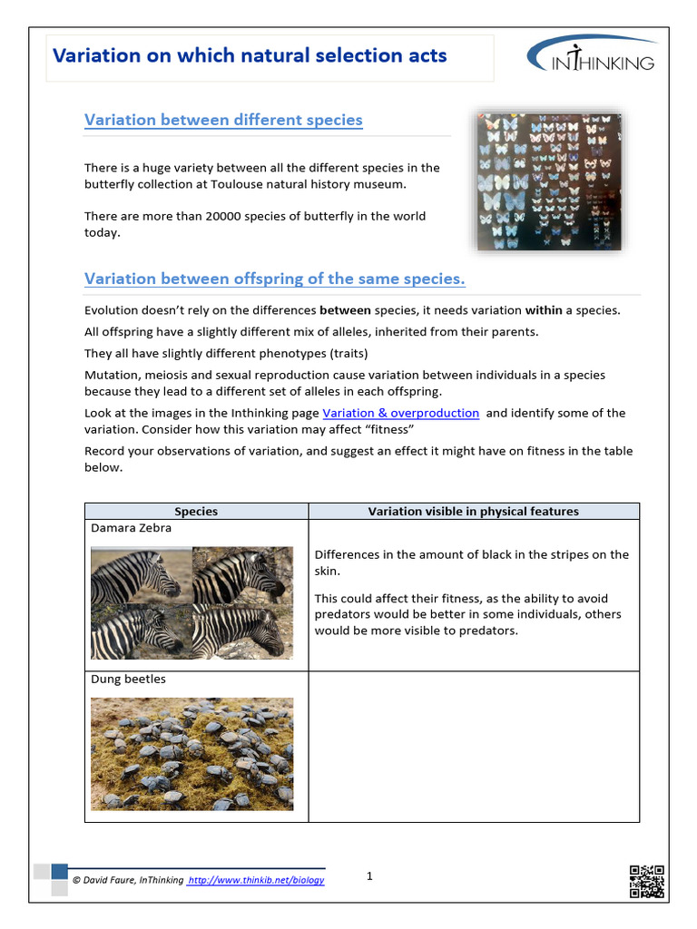 Variation Worksheet | PDF
