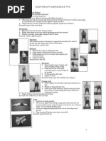 Download Bodybuilding at Its Best With No Need for a Gym The Best Bodyweight Exercises and Tips From Matt Furey Ross Enamait and Pavel Tsatsouline by krishnaballal SN99630 doc pdf