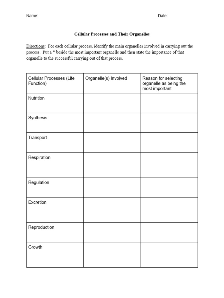 Organelles & Life Functions | PDF