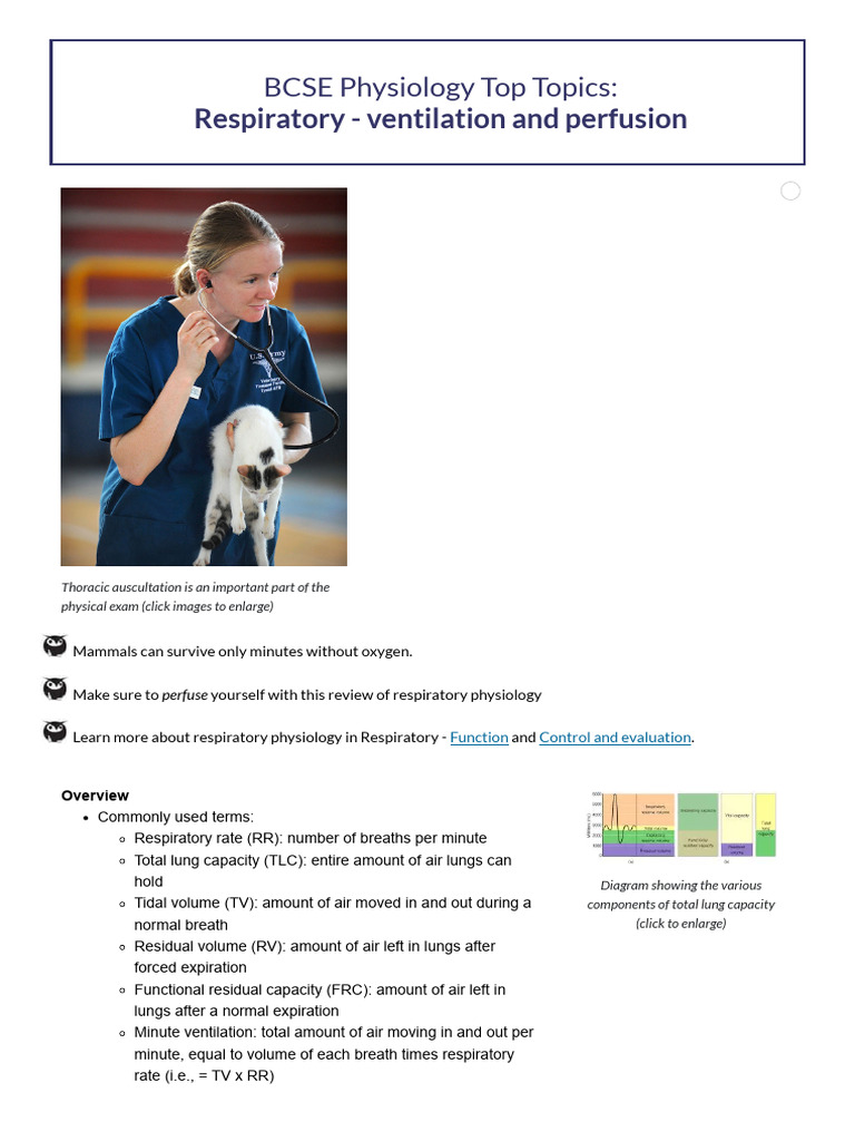 BCSE Physiology Top Topics_Respiratory - ventilation and perfusion ...