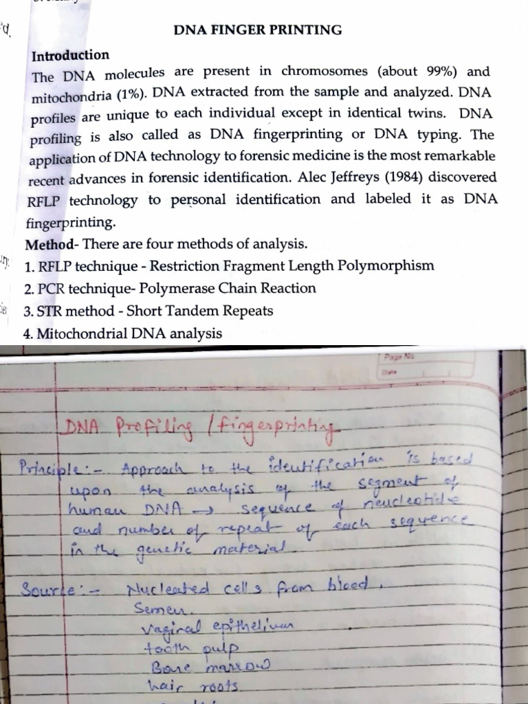 DNA Fingerprinting New-1 | PDF