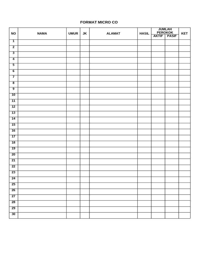 Format Micro Co | PDF