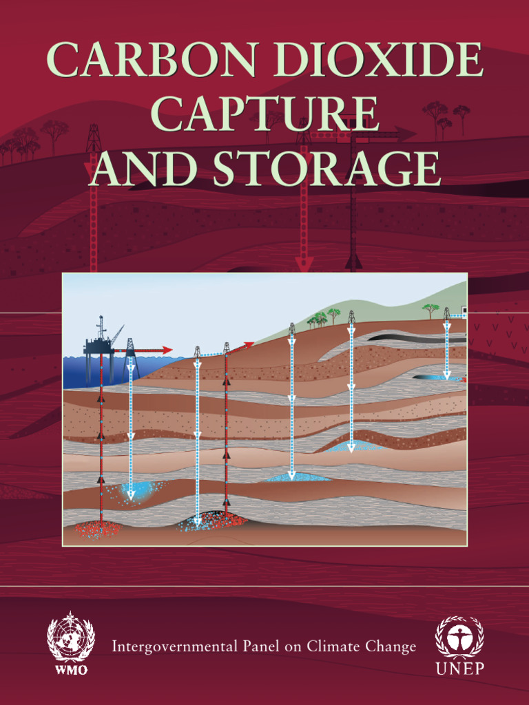 Carbon Dioxide Capture Storage | PDF | Carbon Capture And Storage ...