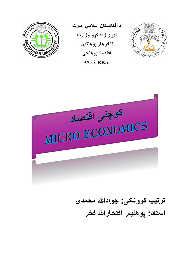 Micro Economic | PDF
