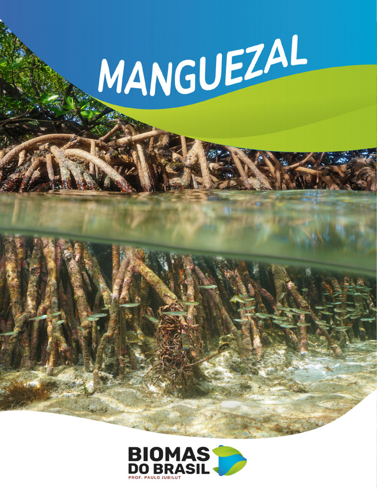 BIO AP Biomas Do Brasil Manguezal | PDF | Mangue | Plantas