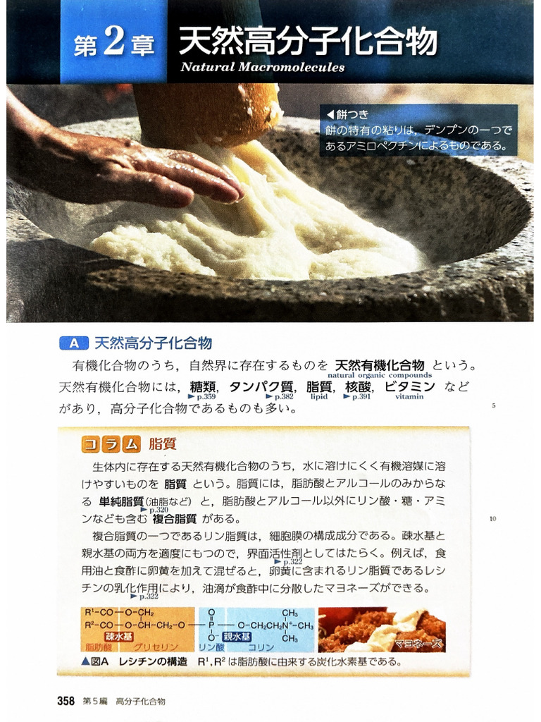 化学 天然高分子化合物 教科書 | PDF