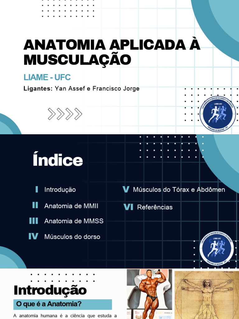 Extensão LIAME anatomia sobre anatomia m | PDF | Cotovelo | Anatomia