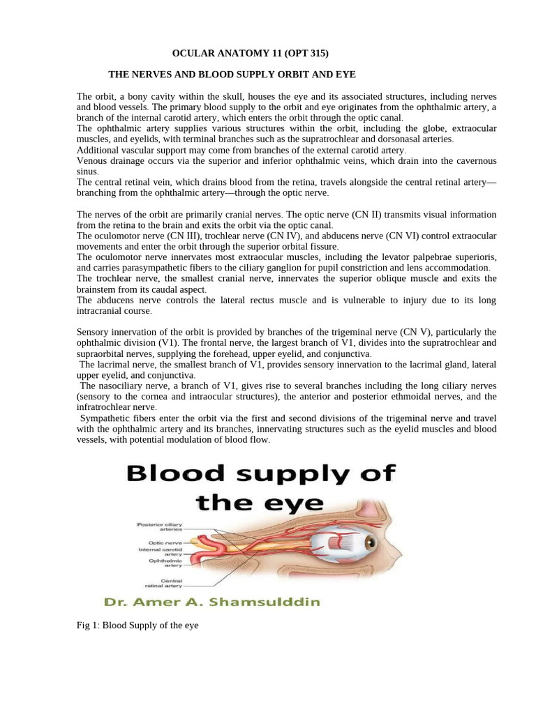Ocular Anatomy 11 (Opt 315) | PDF | Human Eye | Sensory Organs