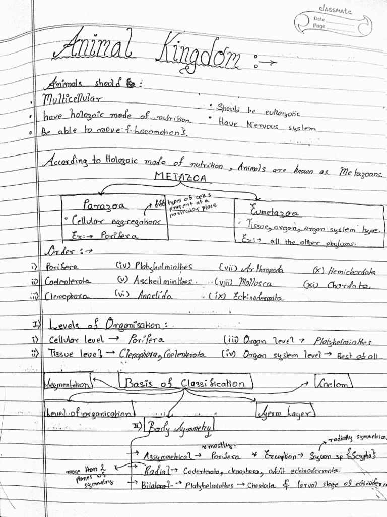 Animal Kingdom Notes | PDF