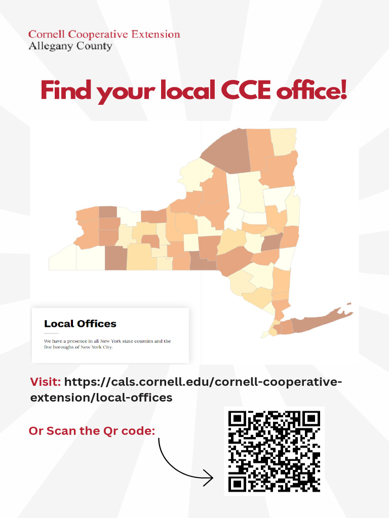 Cce Local Offices | PDF