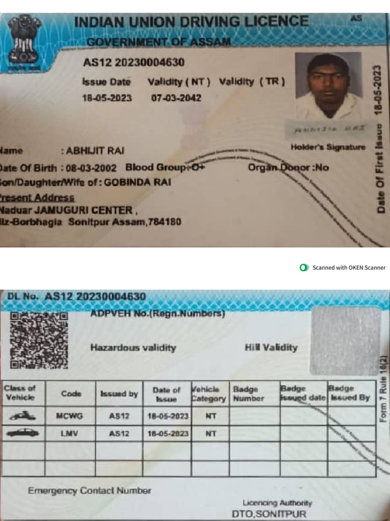 Abhijit DL | PDF