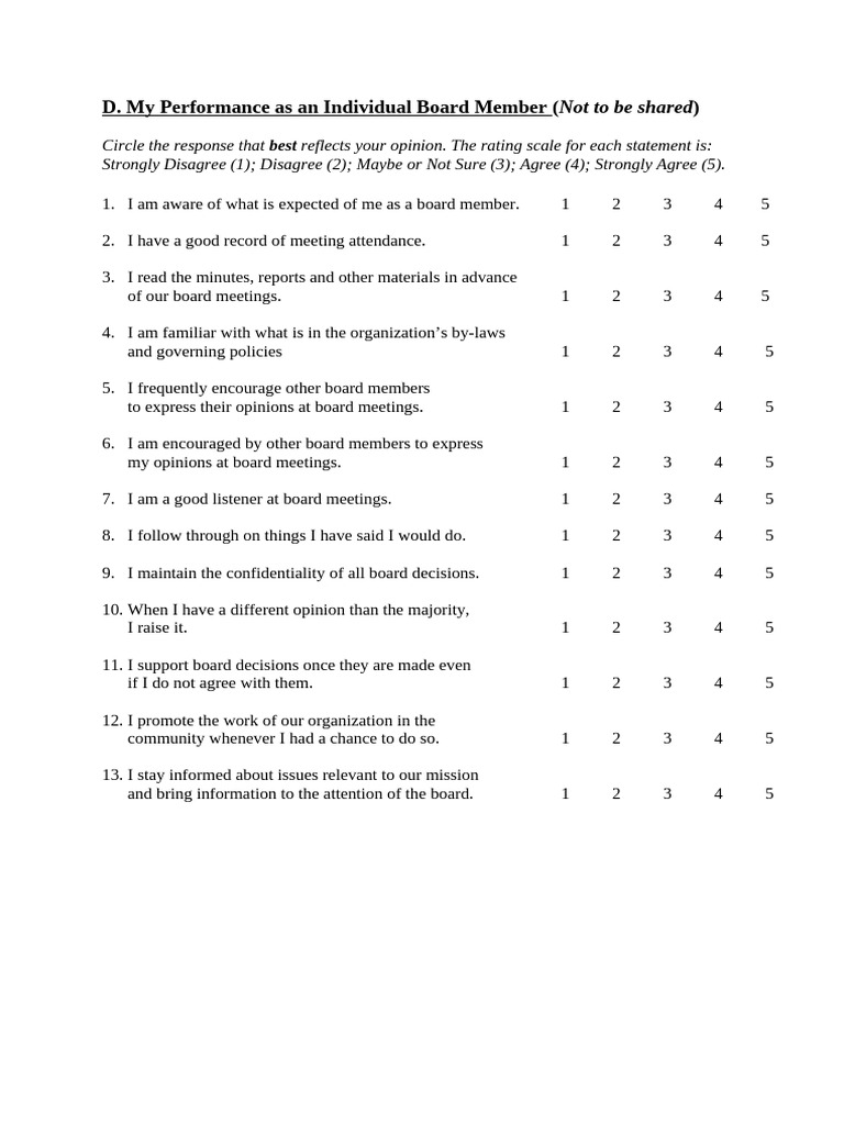 Board Individual Performance | PDF