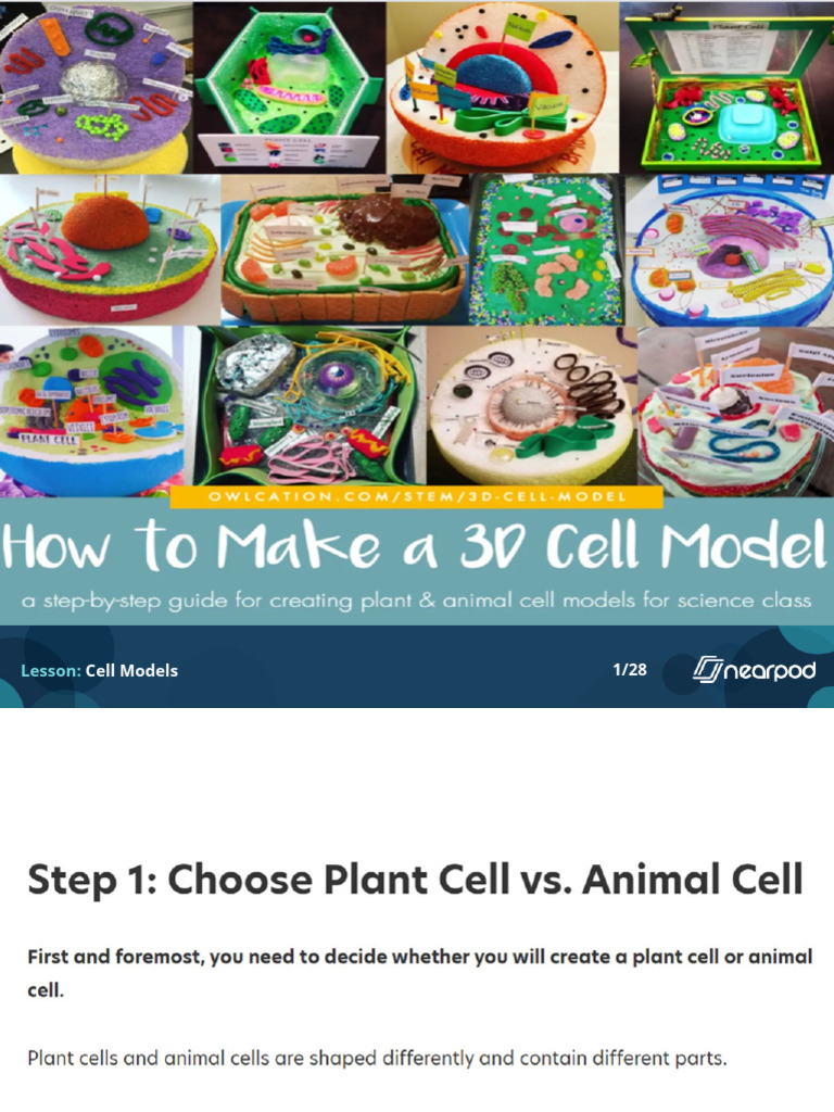Cell Models | PDF
