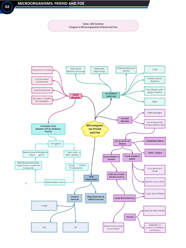 Microorg Friend and Foe | PDF