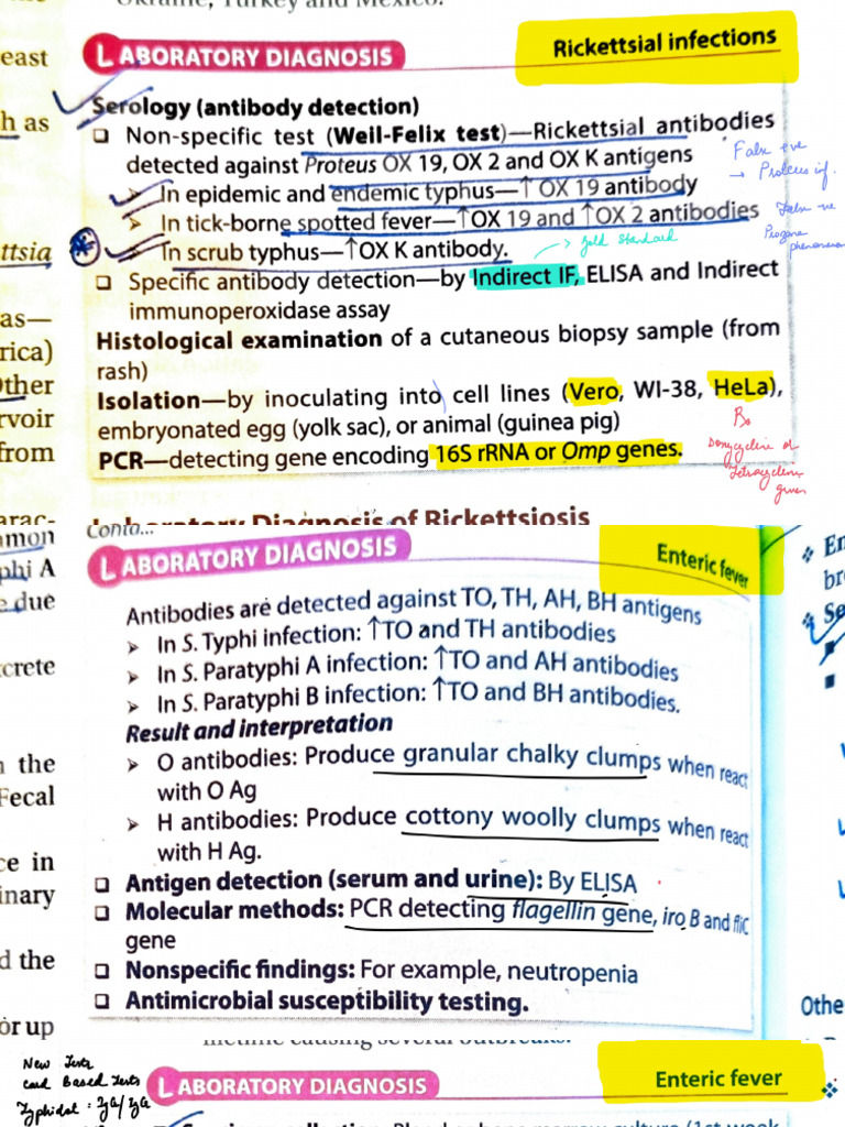 Micro Lab Diagnosis | PDF