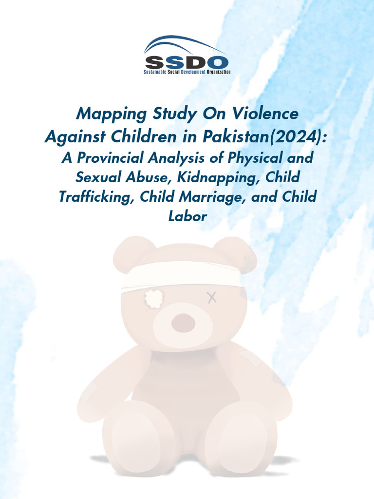 SSDO Analysis Report2024 | PDF | Child Abuse | Violence