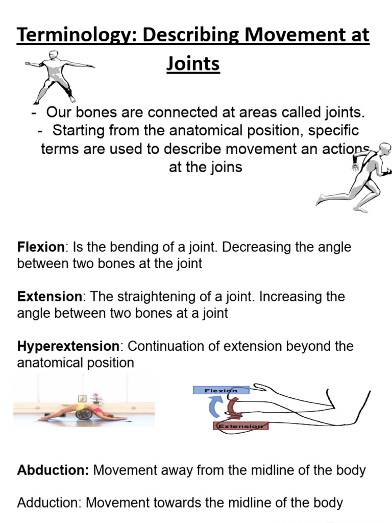 Samiya Bartholomew - 2b. Student Copy - Describing Movement at Joints | PDF