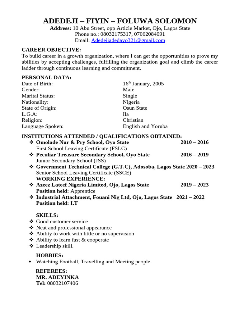 My CV Format 1 | PDF