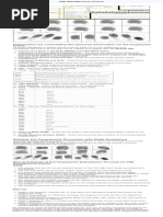 Completing the FD-258 Fingerprint Card | PDF | Race And Ethnicity In ...