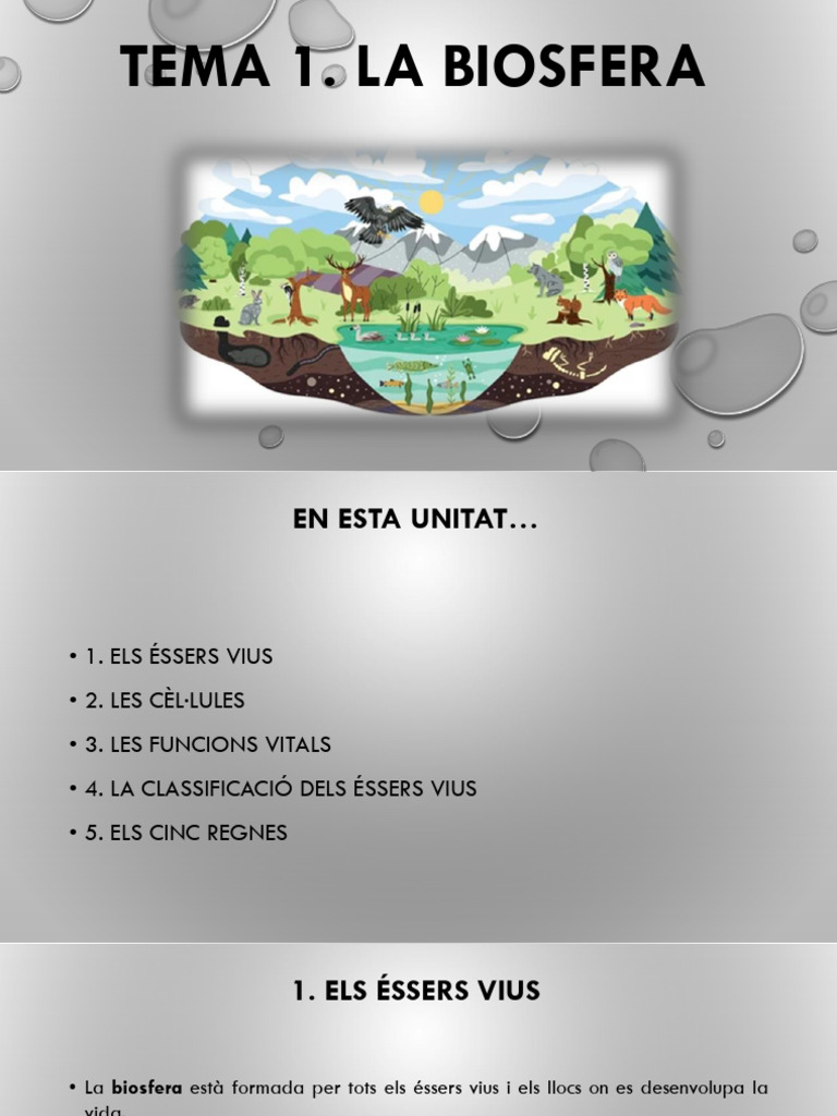 Tema 1 - La Biosfera - Val | PDF