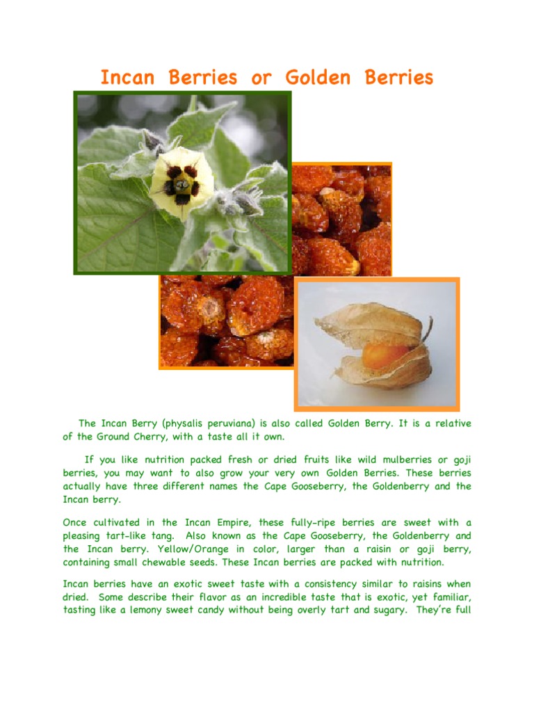 Incan Berry Grow Instructions | PDF | Berry | Sowing