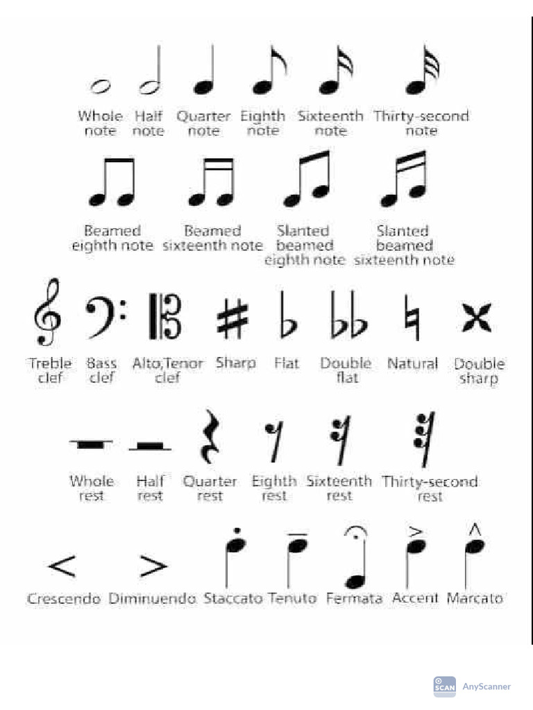 Simple Music Basics | PDF