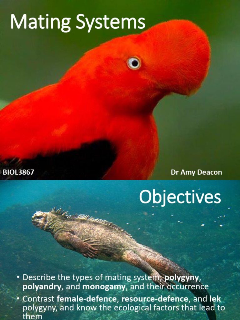 Lecture 17 Mating Systems 2022 | PDF | Monogamy | Ethology