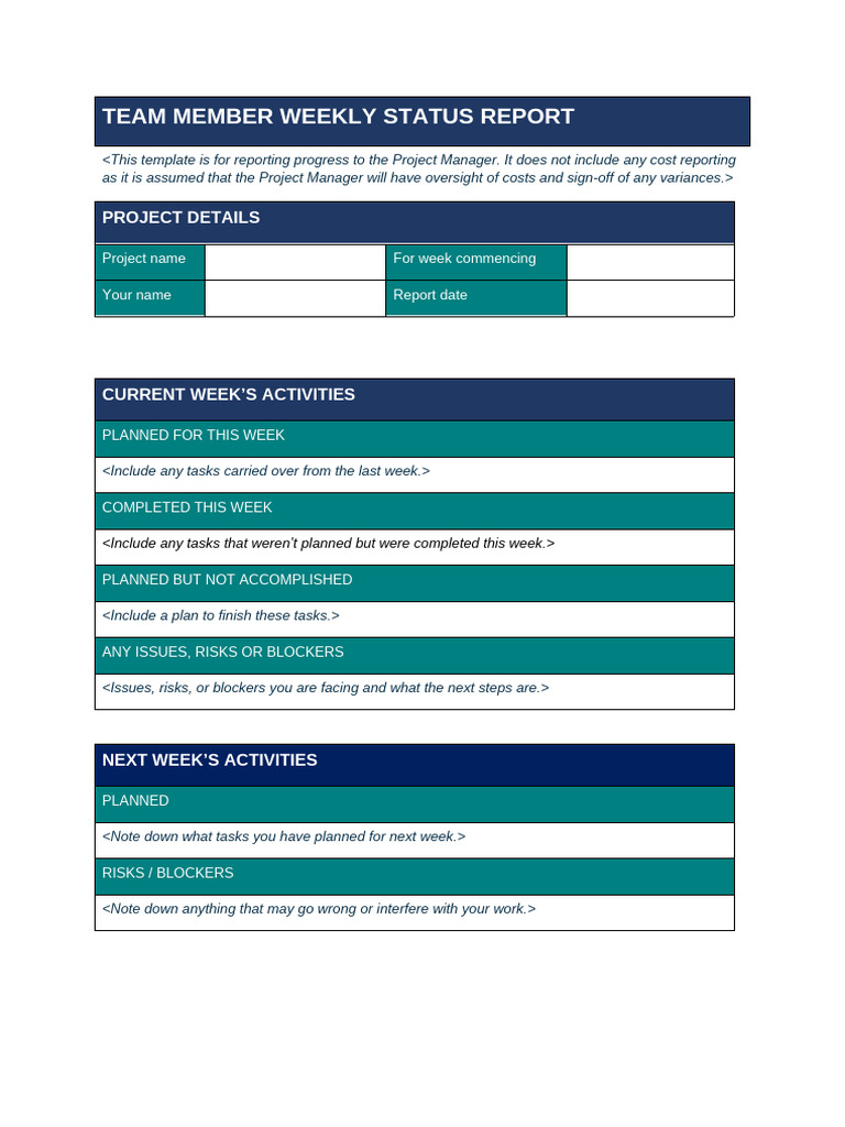 Team Member Status Report Weekly | PDF