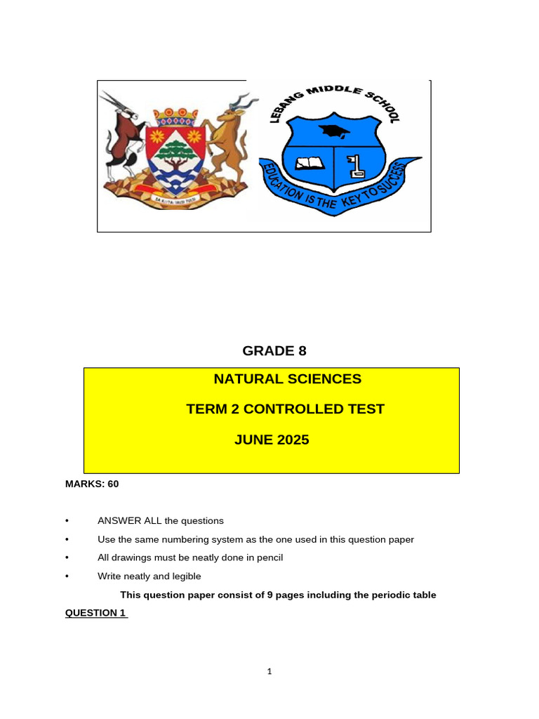 Grade 8 Term 2 Controlled Test - 080429 | PDF | Atomic Nucleus | Matter