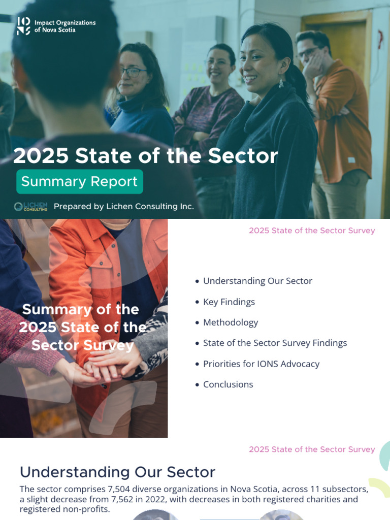 2025 State of The Sector Survey Summary Report | PDF | Employment ...