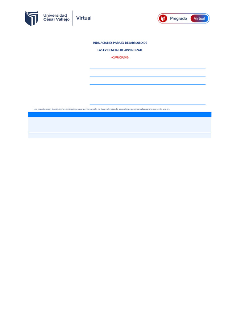 Ejemplo de Formulario y Esquema de Informe PAI5 | PDF