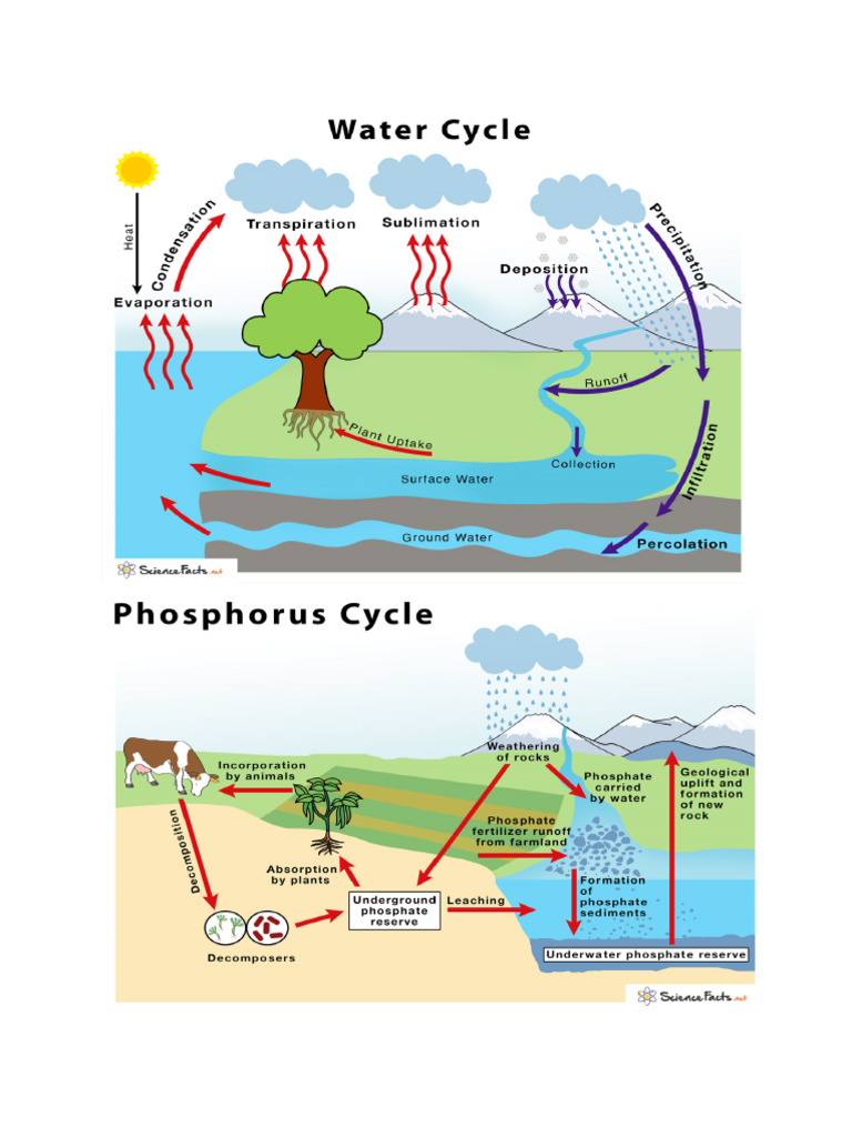 Cycles | PDF