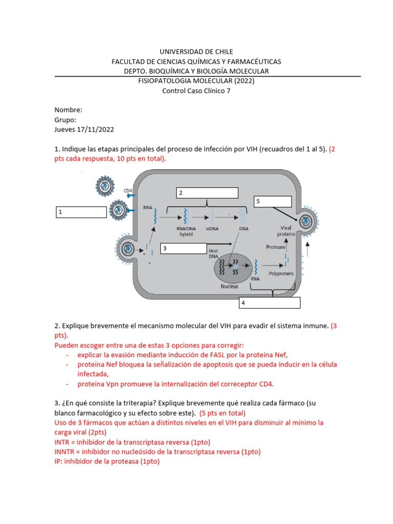 Pauta Control Cc7 | PDF