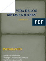 Libro Del Conocimiento CAP-METACELULARES