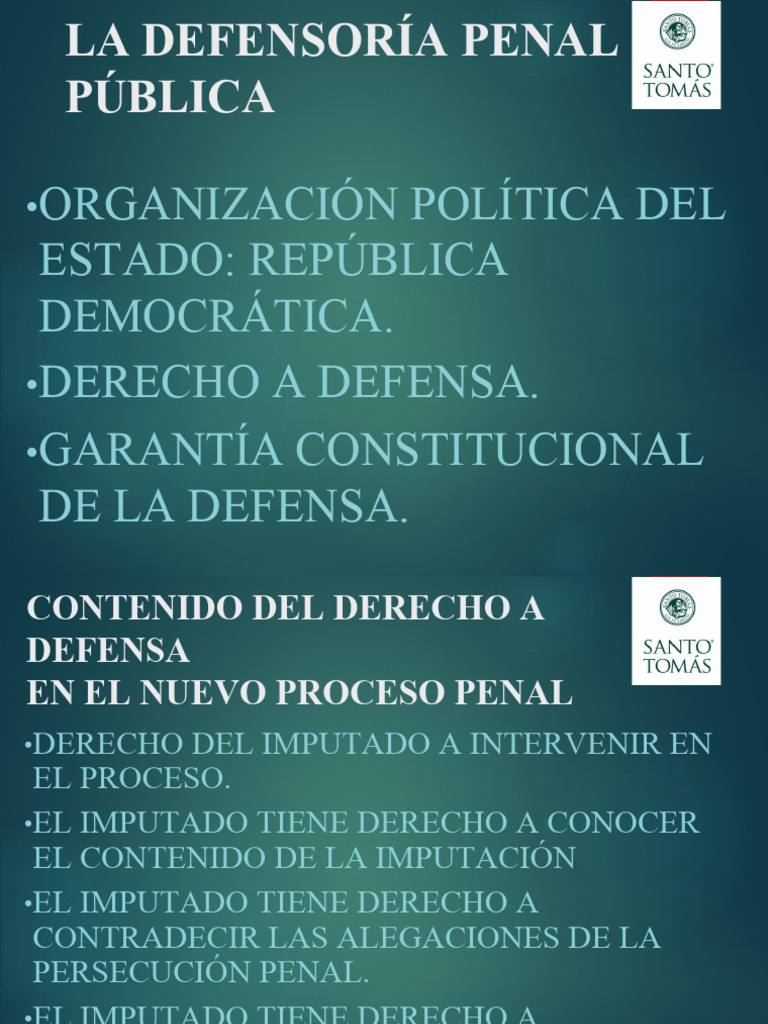 Defensoria Penal Publica | PDF