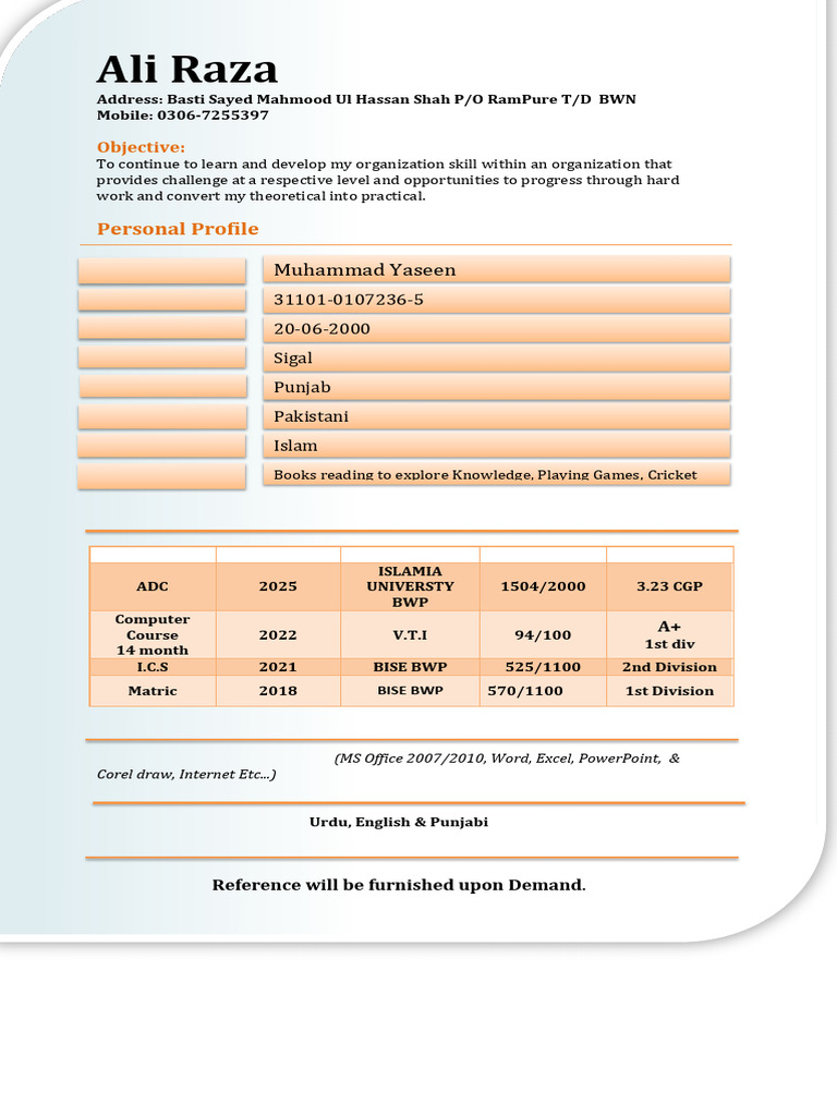 Ali CV | PDF