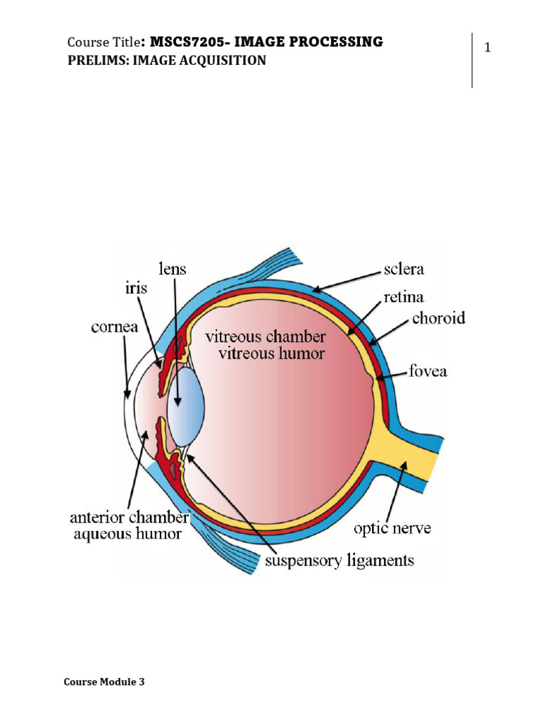 P3 | PDF | Eye | Light