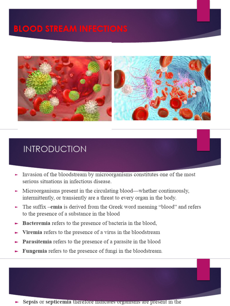 Blood Stream Infections 2023 | PDF | Sepsis | Staphylococcus