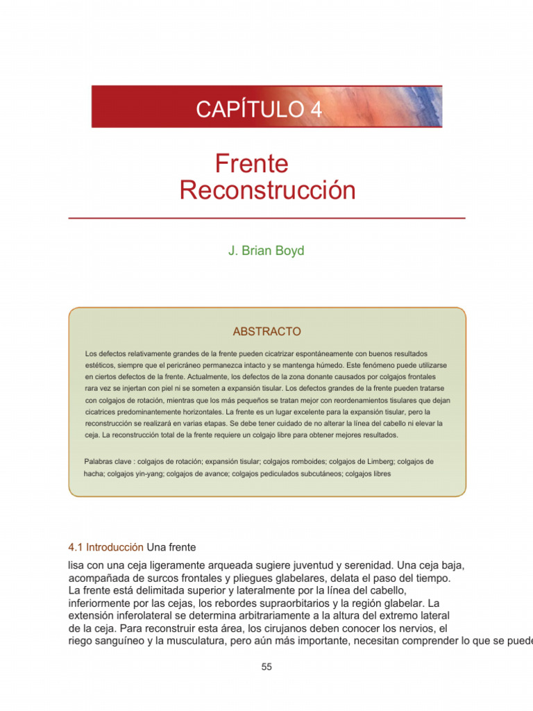 FRENTE | PDF | Nervio | Anatomía