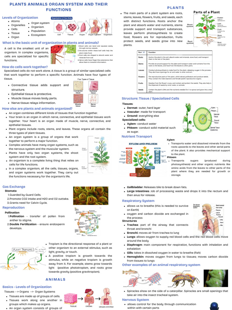 Gen Scie - 20260111 - 000420 - 0000 | PDF | Human Body | Tissue (Biology)
