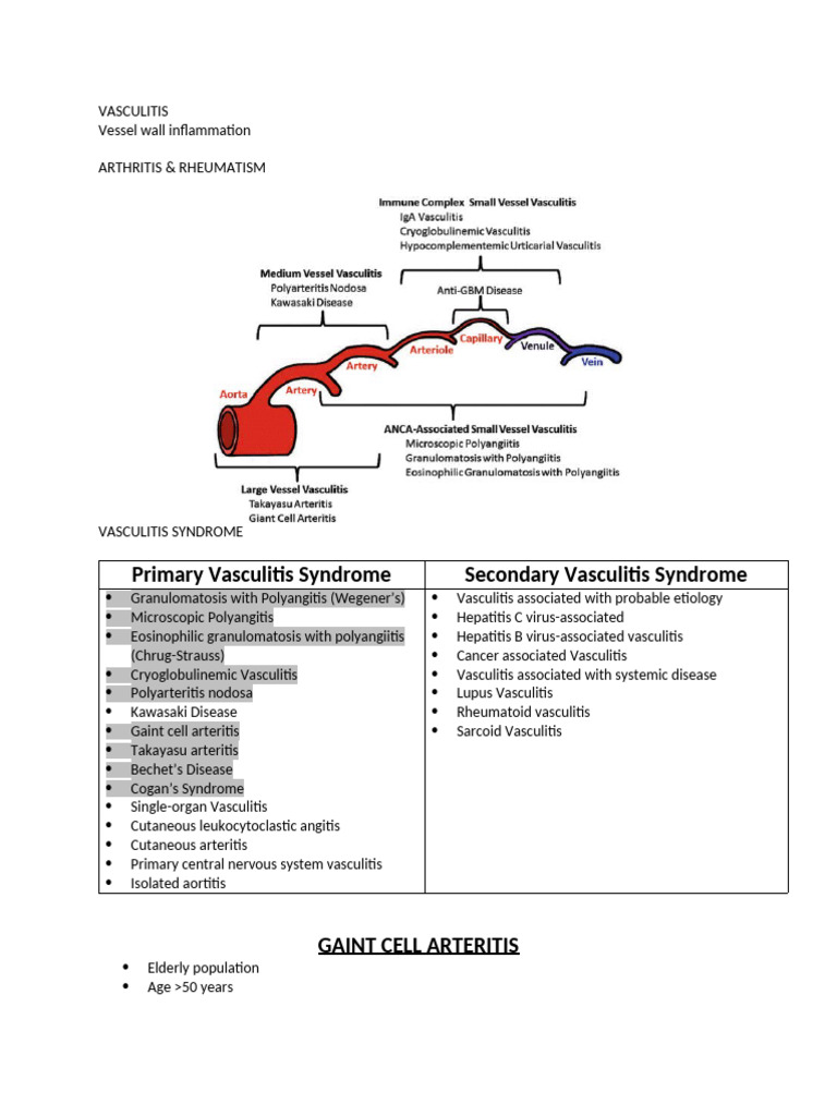 Vasculitis | PDF